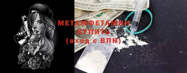 твердый Гусев