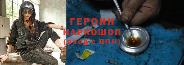 твердый Гусев