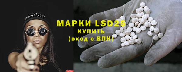 твердый Гусев