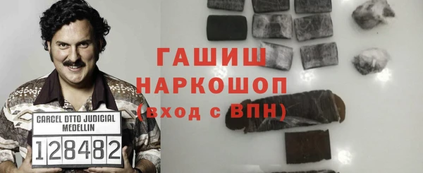 твердый Гусев