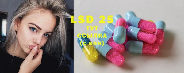 твердый Гусев