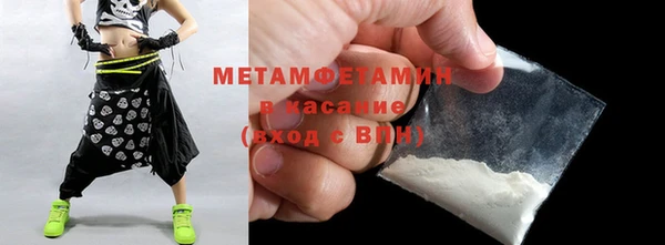 твердый Гусев