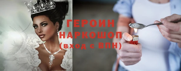 твердый Гусев