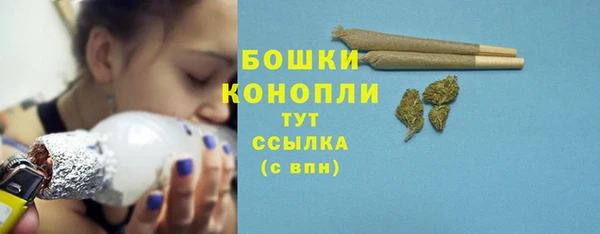 твердый Гусев