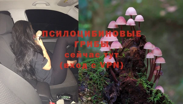 МДПВ Гусь-Хрустальный