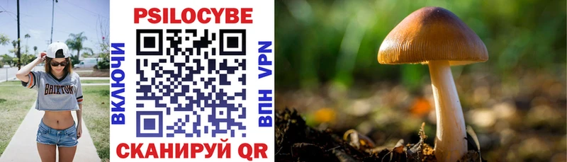 Галлюциногенные грибы Cubensis  Казань 
